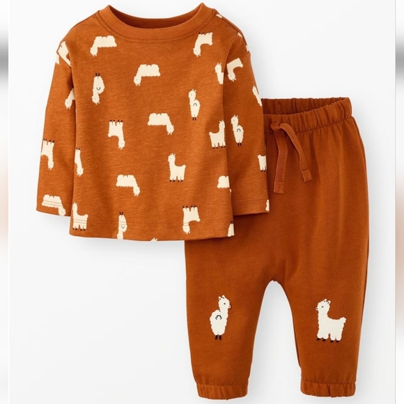 Hanna Andersson Other - Hanna Andersson 12-18 Month Llama Print Long Sleeve Tee & French Terry Pants Set